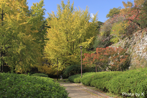 c0127748_9431330.jpg