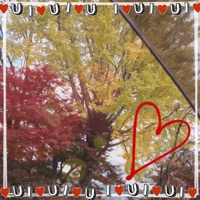 紅葉〜(((o(*゚▽゚*)o)))今日からは‼︎_a0258349_21274858.jpg