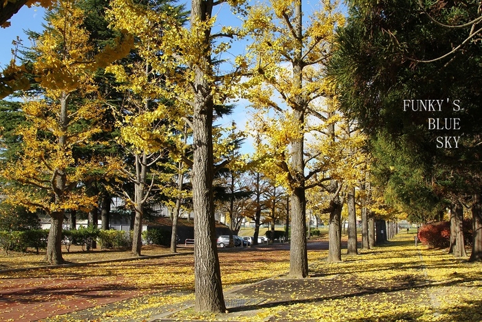 c0145250_947474.jpg