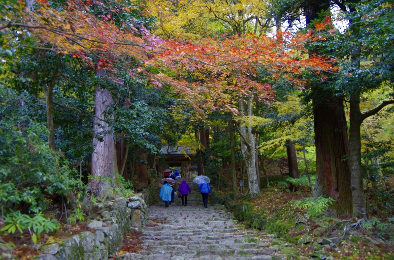 雨の百済寺_c0238352_2023923.jpg