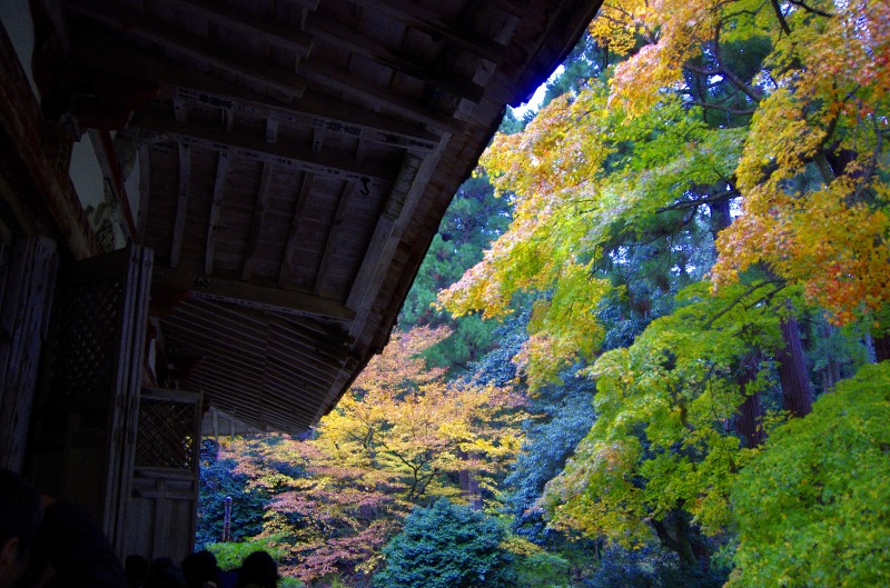 雨の百済寺_c0238352_20243059.jpg