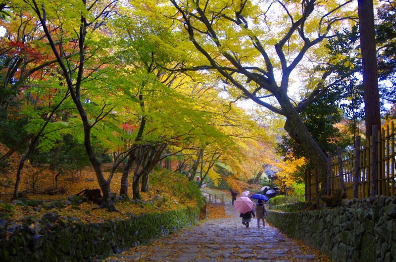 雨の百済寺_c0238352_20252310.jpg