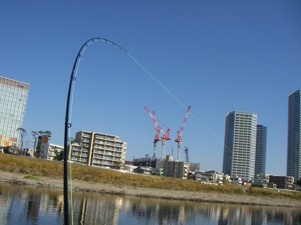 a0130057_0211994.jpg