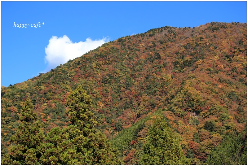 奥大井の紅葉とアプト式列車♪　～大井川鉄道・奥泉駅～_a0167759_20314451.jpg