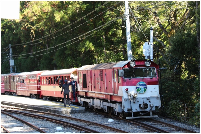 奥大井の紅葉とアプト式列車♪　～大井川鉄道・奥泉駅～_a0167759_20342868.jpg