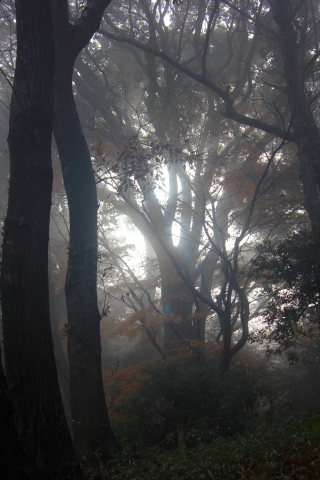 a0248459_19362546.jpg