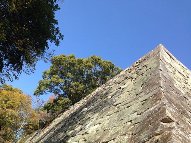c0115560_14182255.jpg