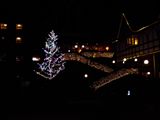d0045362_1344657.jpg