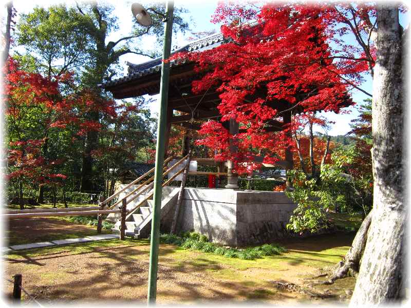 京都・紅葉　2013.11　①　～金閣寺～_f0309162_09185383.jpg