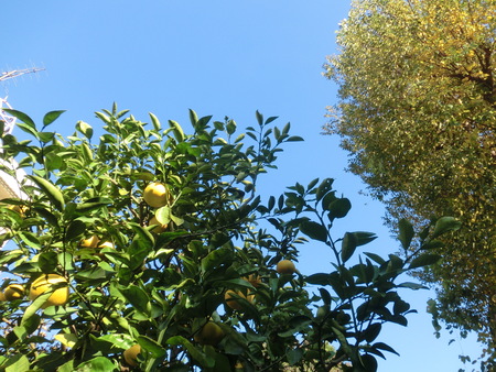 b0190666_21584060.jpg