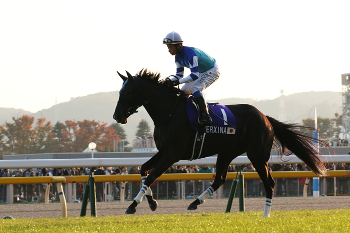 牝馬ジェンティルドンナ ジャパンカップ連覇（1） 返し馬 : Turf