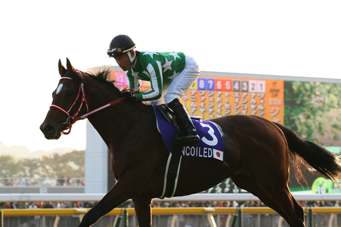 牝馬ジェンティルドンナ ジャパンカップ連覇（1） 返し馬 : Turf