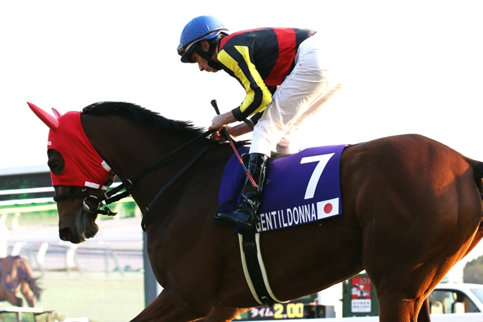 牝馬ジェンティルドンナ ジャパンカップ連覇(1) 返し馬 : Turf 牝馬ジェンティルドンナ ジャパンカップ連覇(1) 返し馬 : Turf