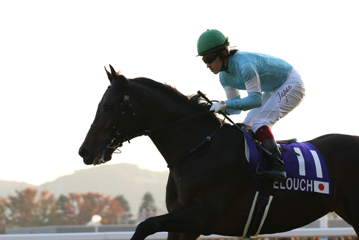 牝馬ジェンティルドンナ ジャパンカップ連覇（1） 返し馬 : Turf