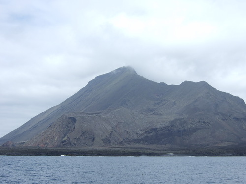 ガラパゴスの魚2　小物編♪　　　　　　　　　　  GALAPAGOS_e0184067_13381757.jpg