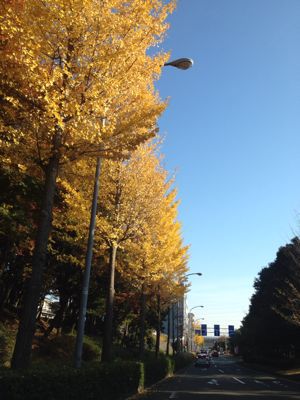 f0287867_14315143.jpg