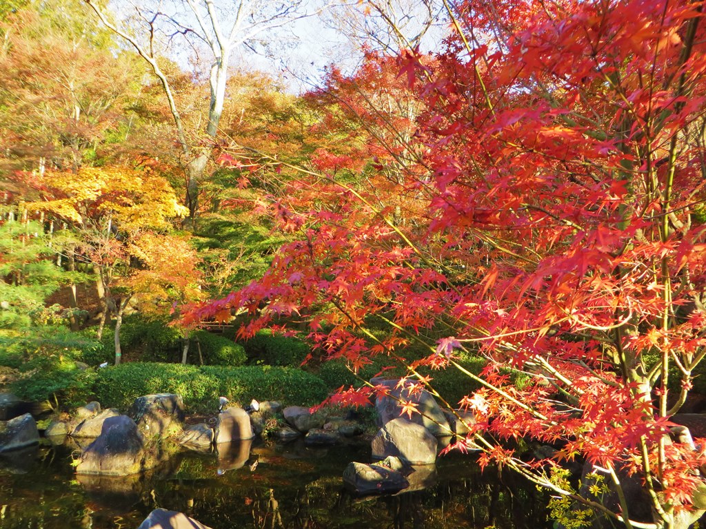 県立大磯城山公園（１）。。。神奈川県中郡大磯町_f0184669_11485149.jpg