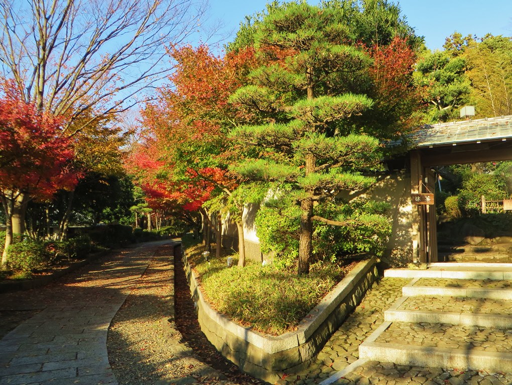 県立大磯城山公園（１）。。。神奈川県中郡大磯町_f0184669_20543481.jpg