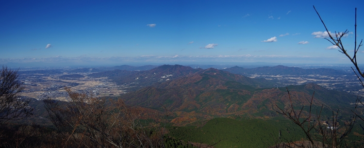 d0031171_86955.jpg