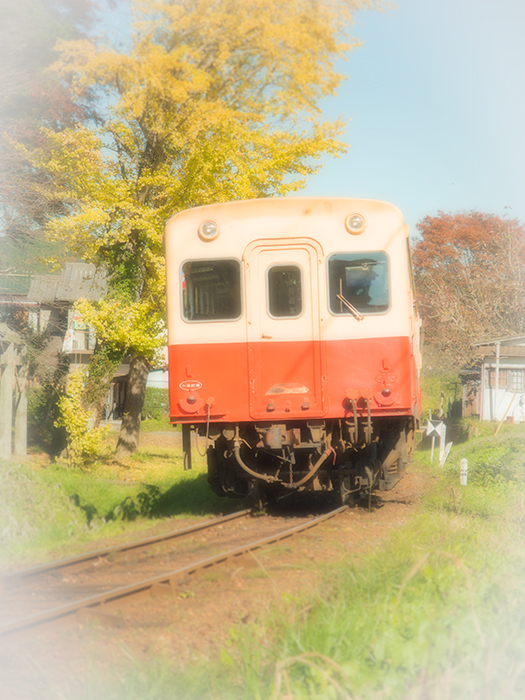 小湊鉄道～カメラ女子編～_a0161380_0592723.jpg