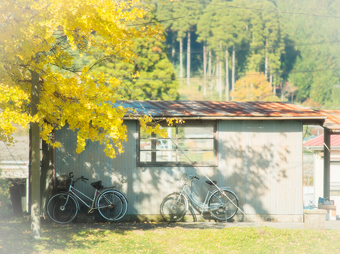 小湊鉄道～カメラ女子編～_a0161380_1172983.jpg