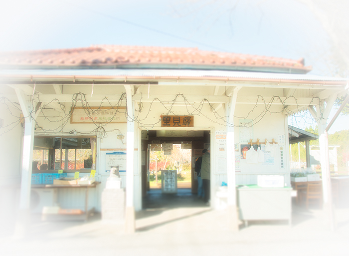 小湊鉄道~カメラ女子編~_a0161380_152195.jpg