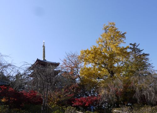 b0097482_20372145.jpg