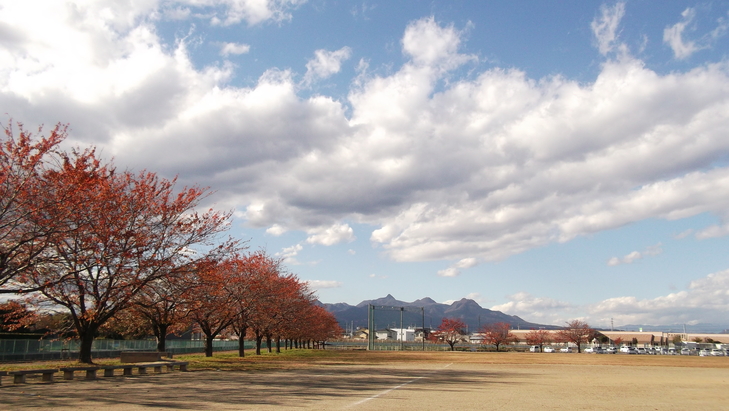 c0212083_2371069.jpg