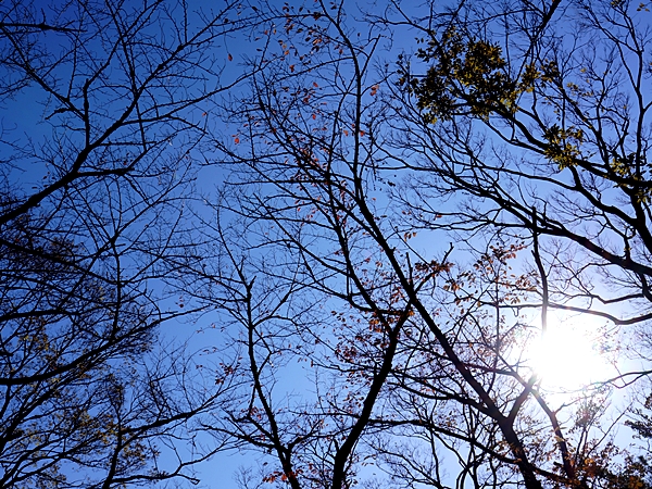 e0156083_835861.jpg