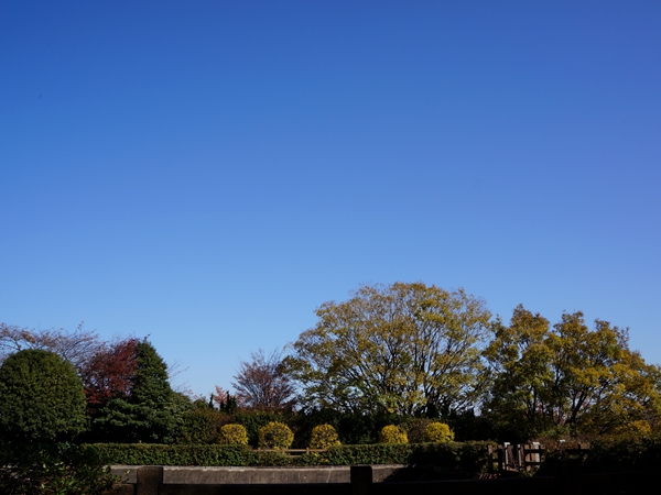 e0156083_85113.jpg