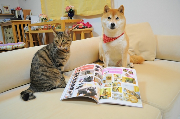ねこころ1月号_a0126590_655631.jpg