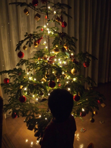 クリスマスツリー 2013_f0159297_20474168.jpg