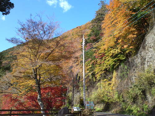 b0304598_20114251.jpg