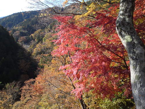 b0304598_2012265.jpg