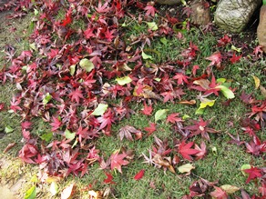 c0117898_13124121.jpg
