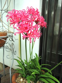 c0117898_13302314.jpg