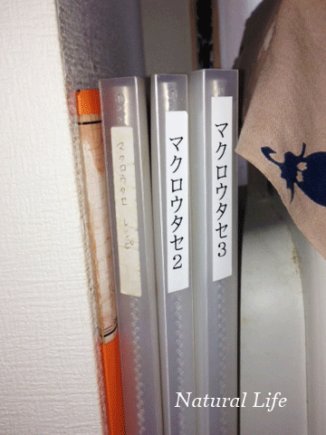b0162000_10175257.gif