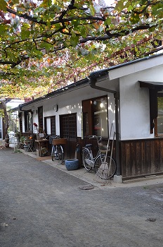 勝沼ワイナリーめぐり2013_c0124100_0124175.jpg