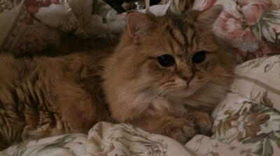 b0128101_12181100.jpg