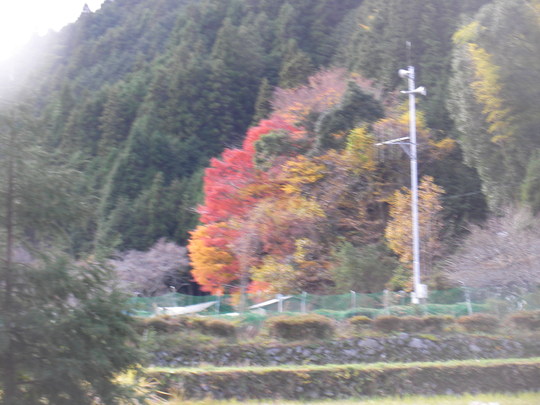 b0229801_12185133.jpg