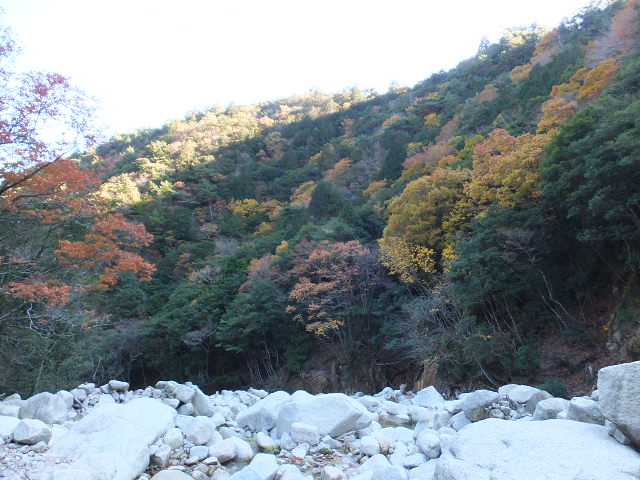 a0271502_16401439.jpg