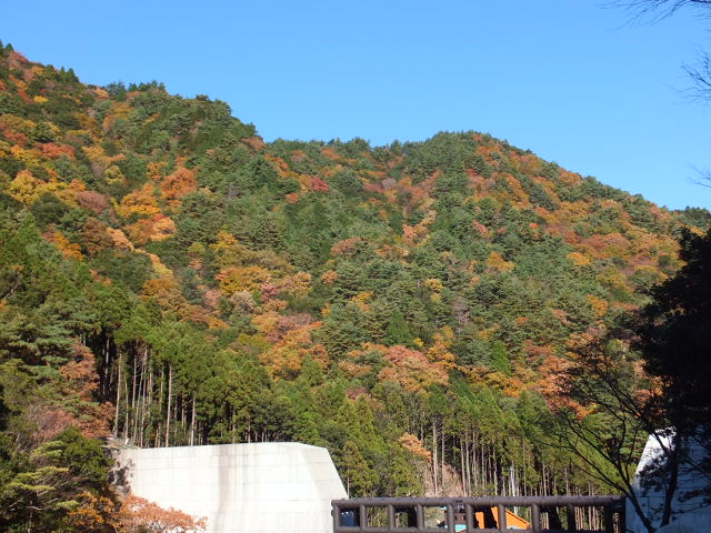 a0271502_16455388.jpg
