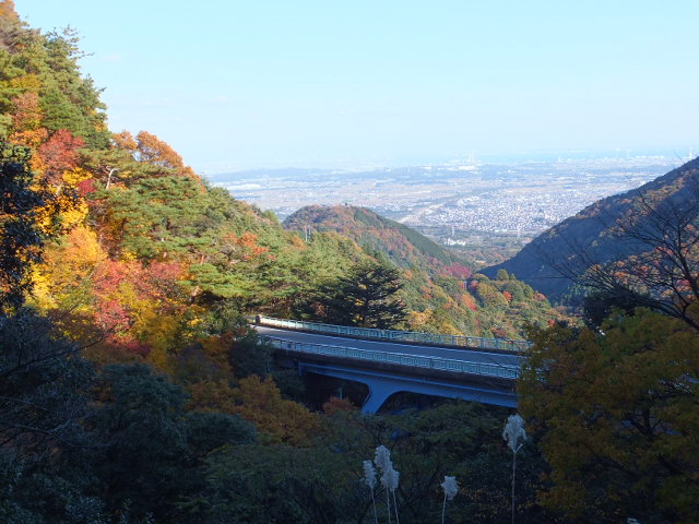 a0271502_17313483.jpg