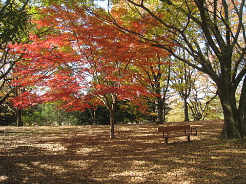 d0046702_20263719.jpg