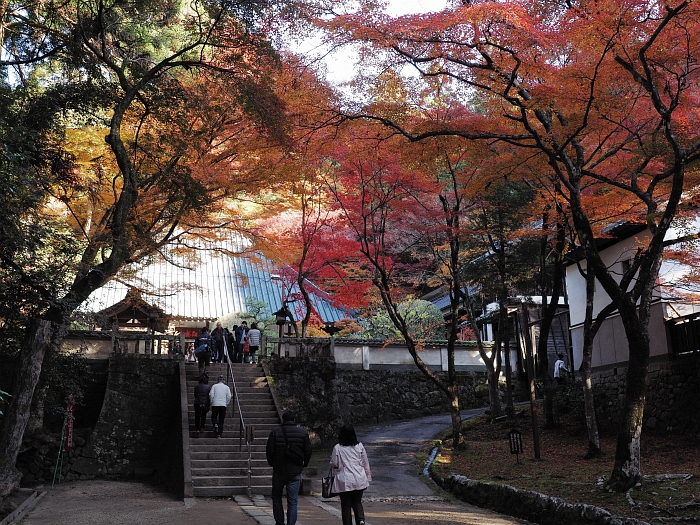 2013年　紅葉ツーリング　第6弾その1　：　香嵐渓_e0075403_16313141.jpg