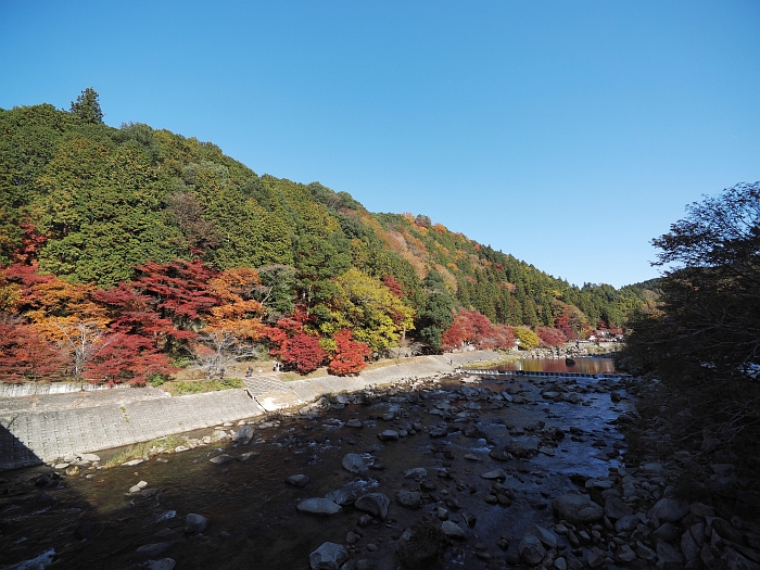 2013年　紅葉ツーリング　第6弾その1　：　香嵐渓_e0075403_16323481.jpg