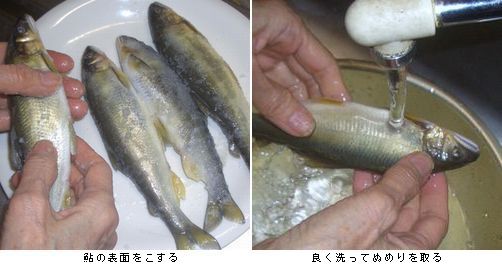 男子厨房に入る　４．落ち鮎の塩焼き_b0044404_19372629.jpg