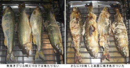 男子厨房に入る　４．落ち鮎の塩焼き_b0044404_19432716.jpg