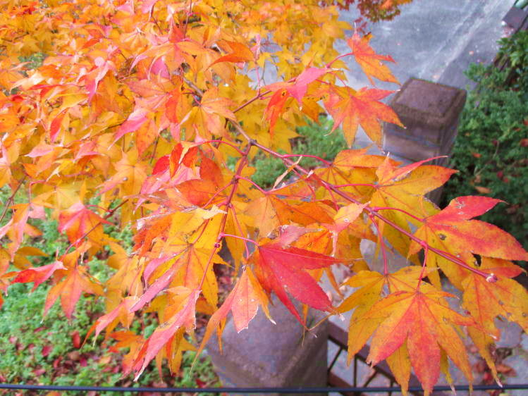f0031304_7582389.jpg