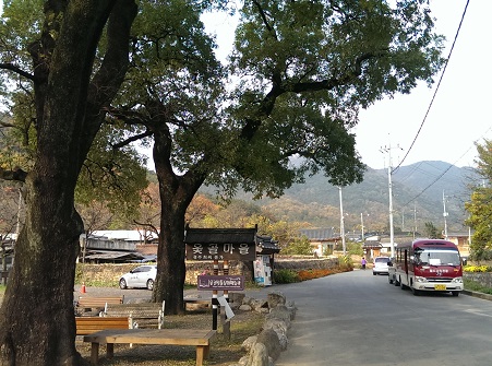 a0140305_265486.jpg